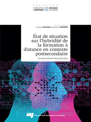 cover image of État de situation sur l'hybridité de la formation à distance en contexte postsecondaire, tome 1